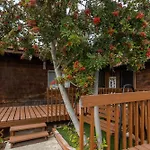 Special Studio In Center Of San Diego