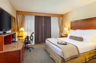 Hotel Handlery
