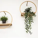 Explore Balboa Park From Your Cozy Studio W Patio