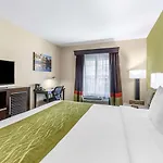 Comfort Inn San Diego Old Town