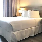 Porto Vista Hotel In Little Italy (Adults Only)