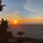 Navigate Stays Front Row To Paradise