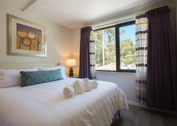 Spacious 500 Sqft Studio With Balboa Park View