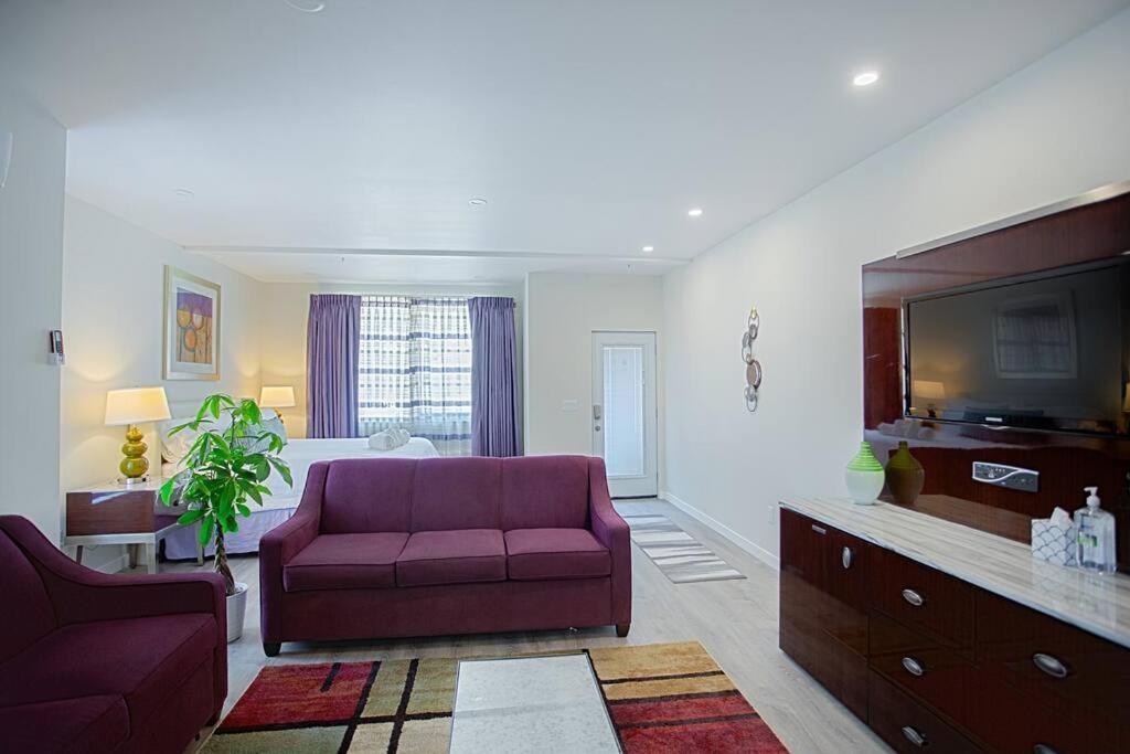 Spacious 500 Sqft With Balboa Park View Apartment