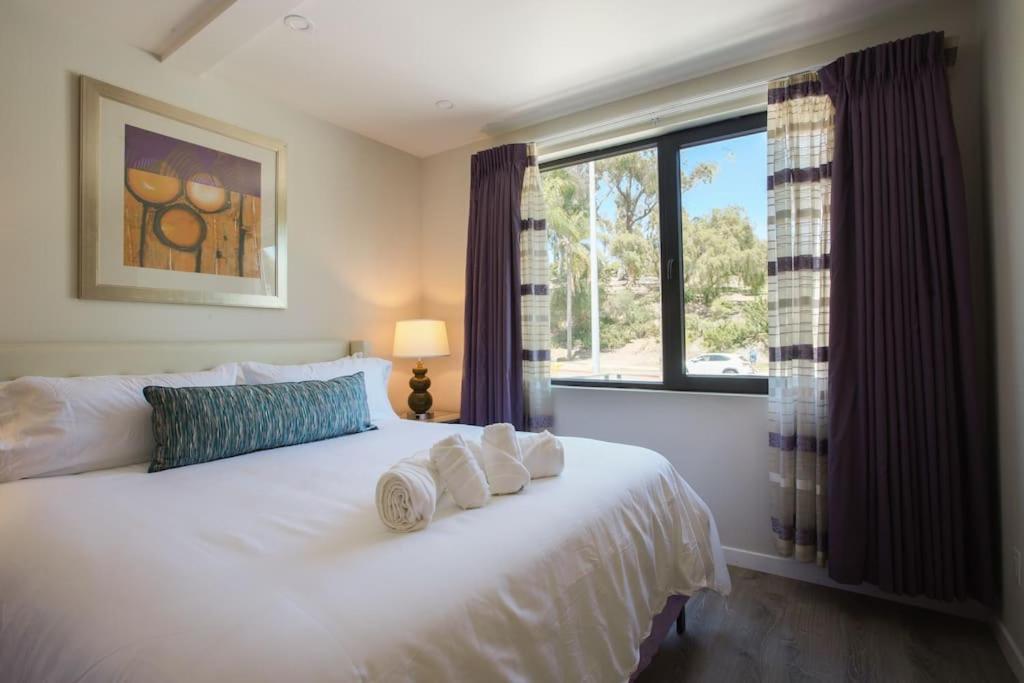 Spacious 500 Sqft With Balboa Park View Apartment *