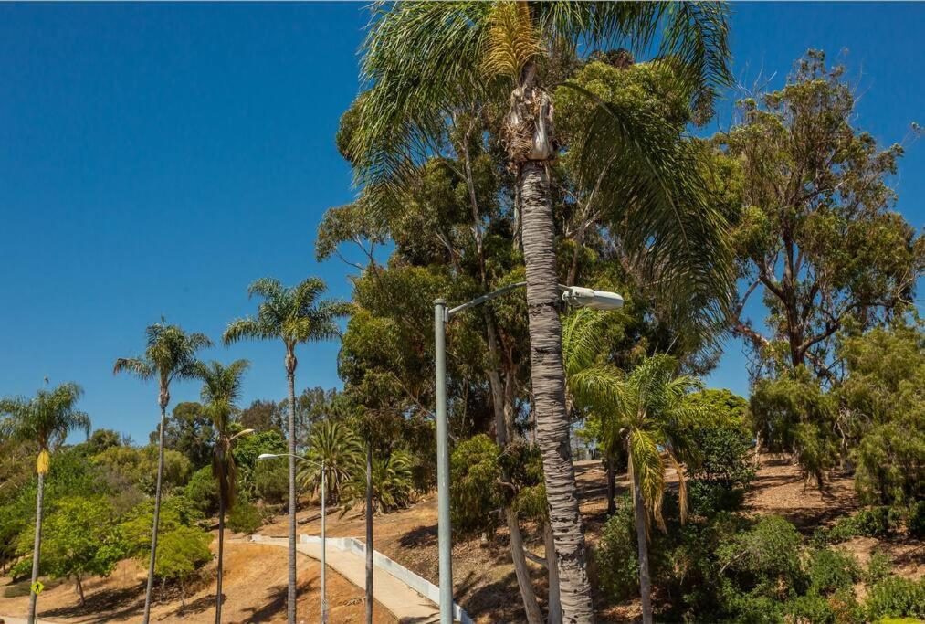 Cozy Next To Dt And Balboa Park * San Diego