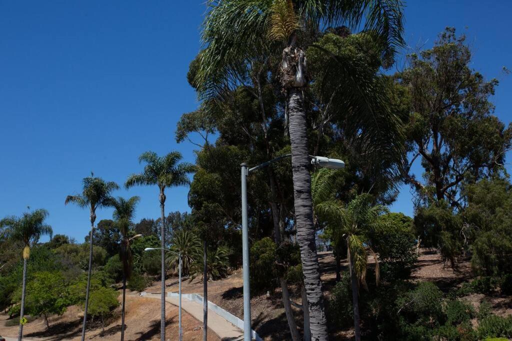 Spacious With Incredible Balboa Park View Inn