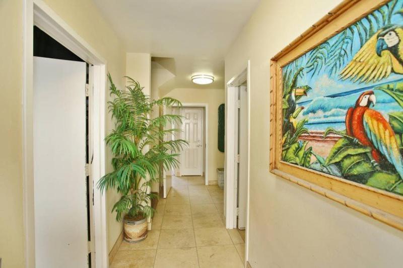 107-oceanfront Lux 1-7 * San Diego