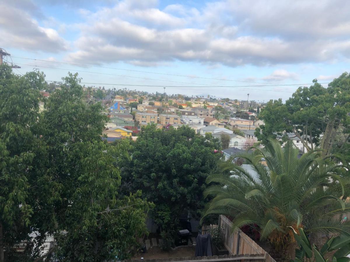 Viva * San Diego