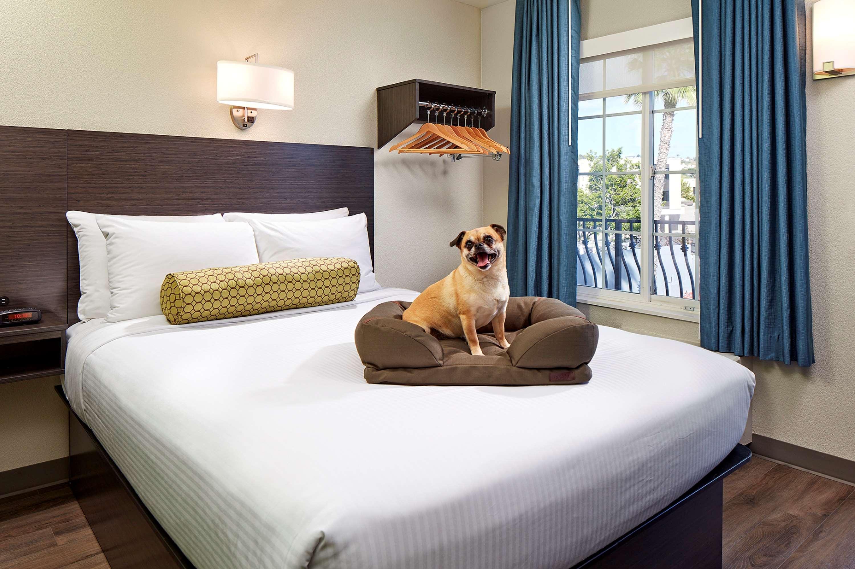 Surestay By Western Pacific Hotel