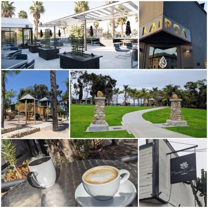 Professionals-restaurants-fastwifi-a C-desk- Pets San Diego
