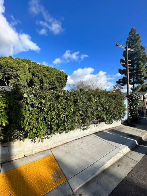 Lower Duplex, Huge Yard, Fenced