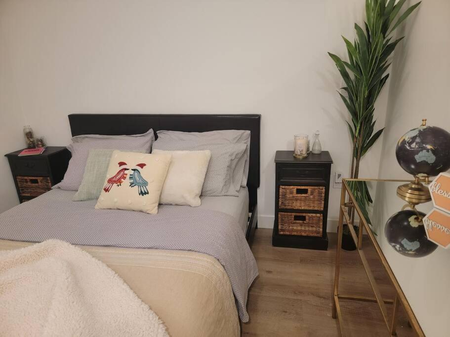 Amazing Big Studio Near Balboa Park Jacuzzi Rooftop Free Parking! Apartment *