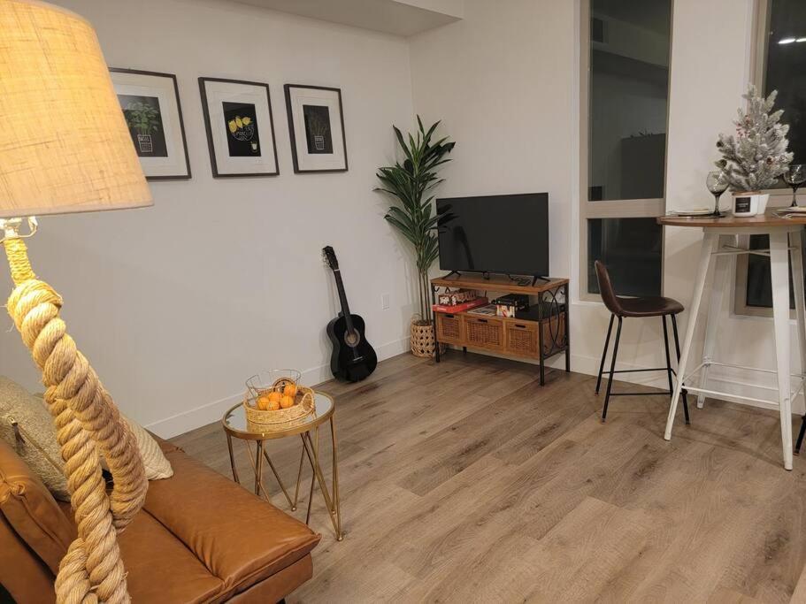 Amazing Big Studio Near Balboa Park Jacuzzi Rooftop Free Parking! Apartment San Diego