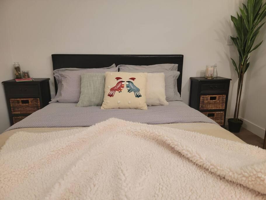 Amazing Big Studio Near Balboa Park Jacuzzi Rooftop Free Parking!