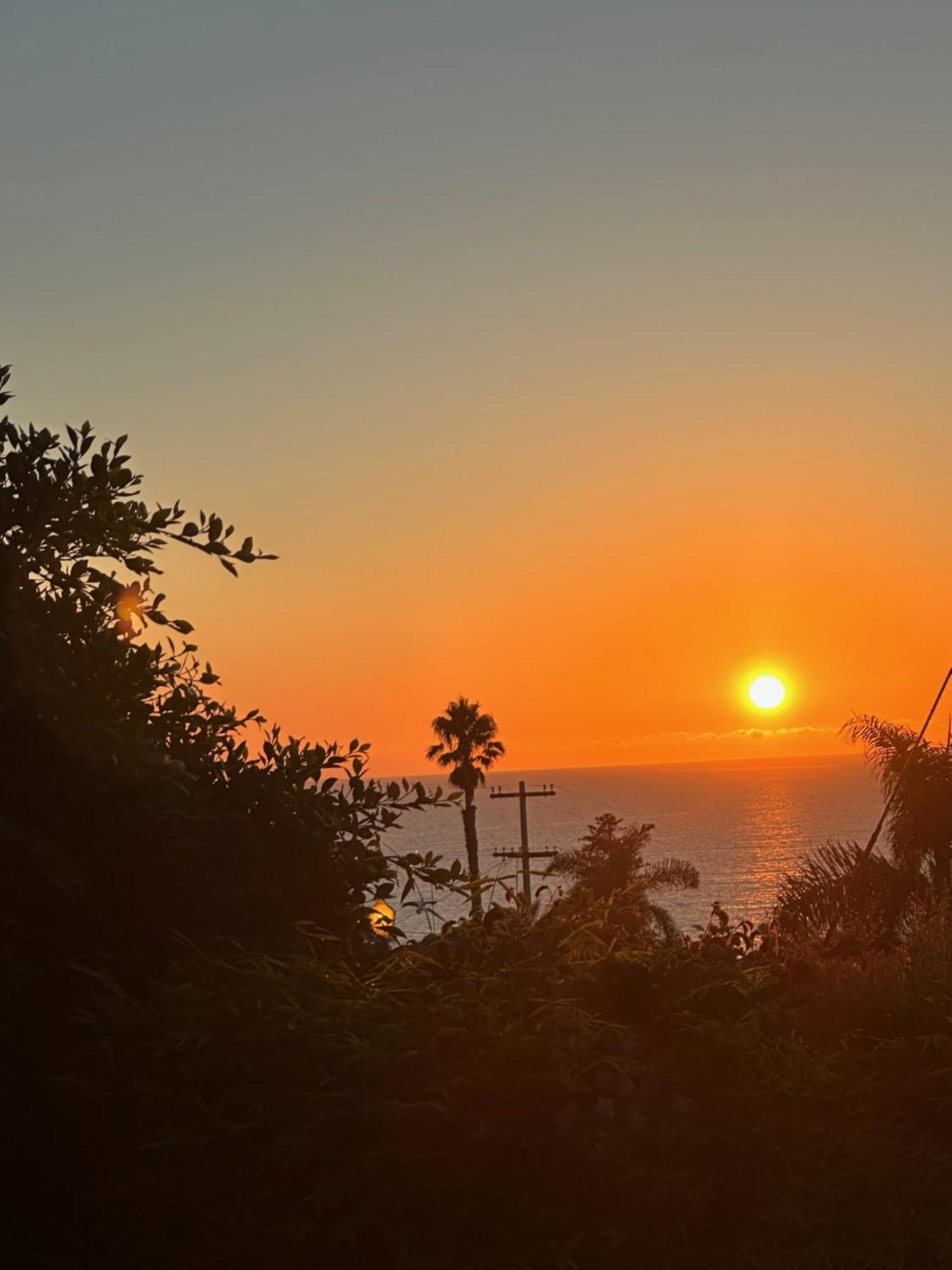 Contemporary Ocean Sunset Views With Firepit Pt Loma Close To Plnu *
