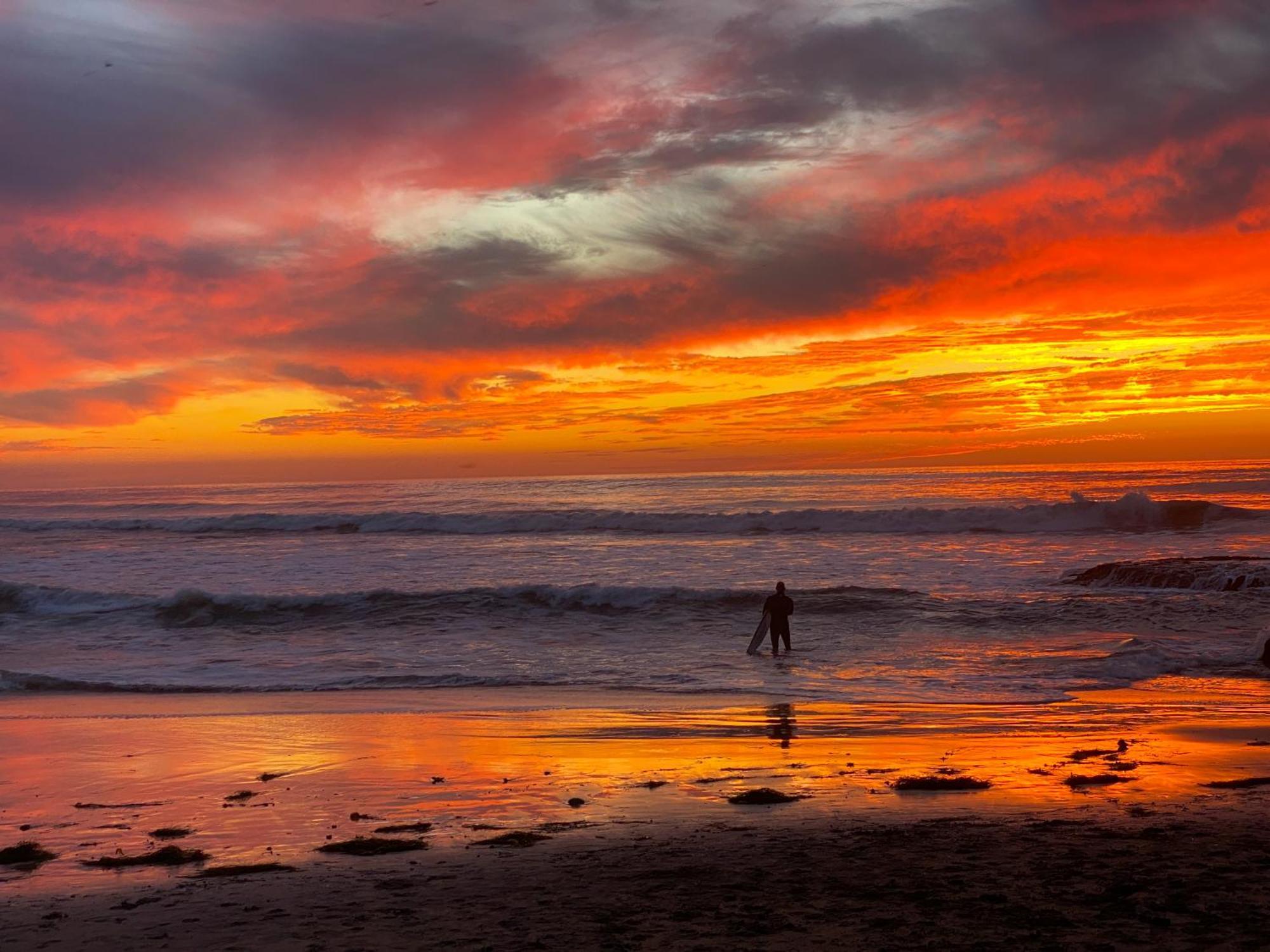 Pet Friendly Lrg 1bd Dog Waves And Sunshine * San Diego