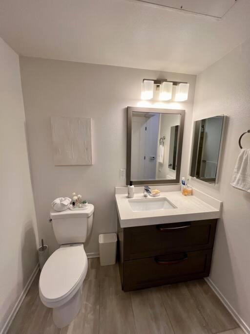 Stylish Downtown Studio