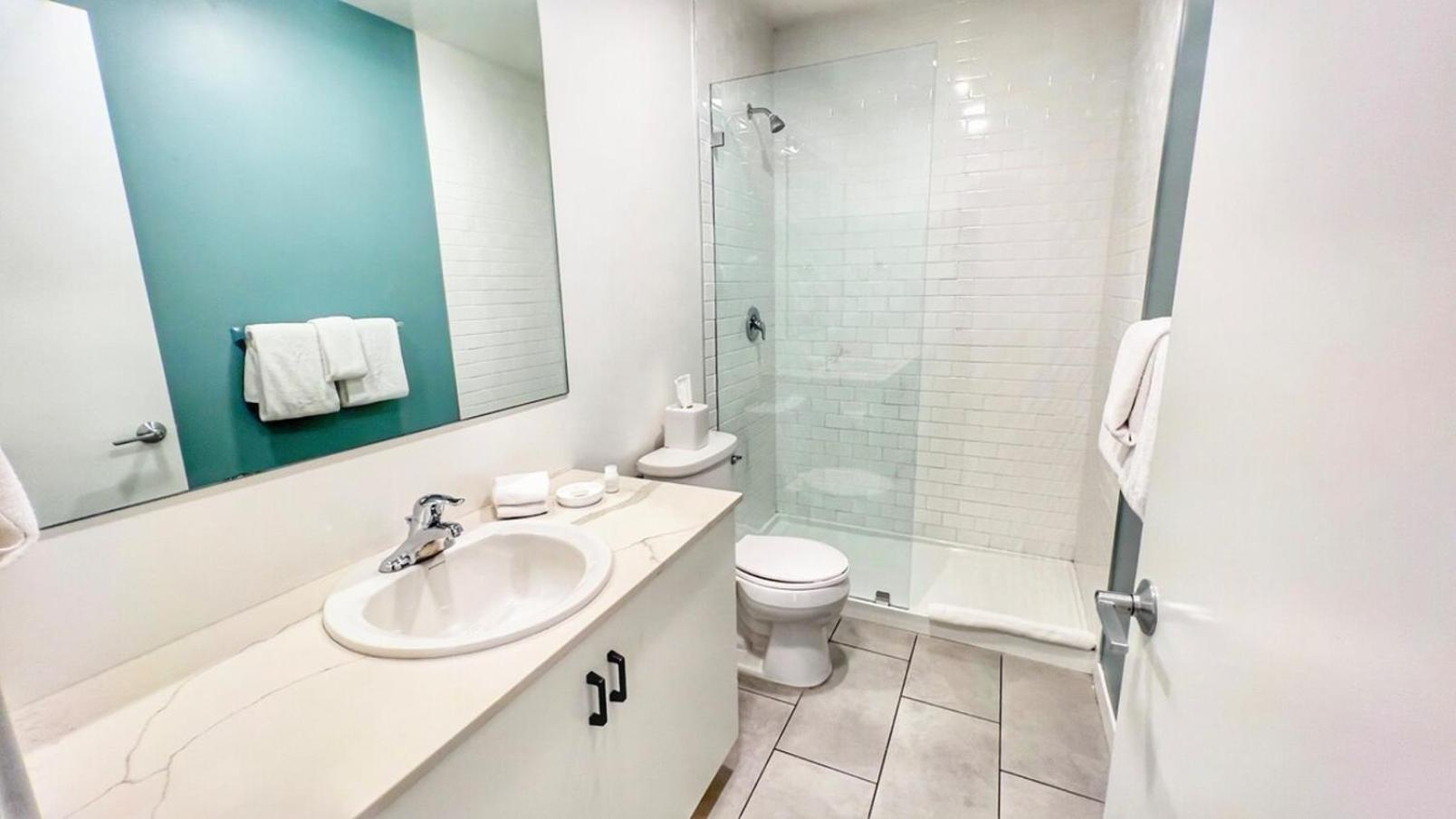 Grand Downtown Apartment