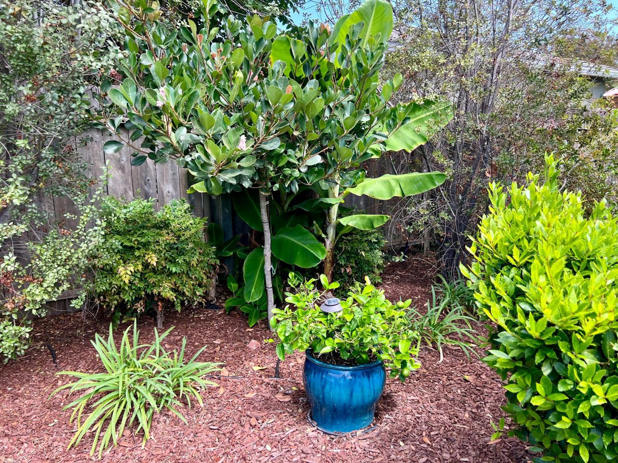 Family Friendly Retreat With Yard And Play Area, 2000 Sq Ft, Ac, Fiber Optic Wifi Holiday home *