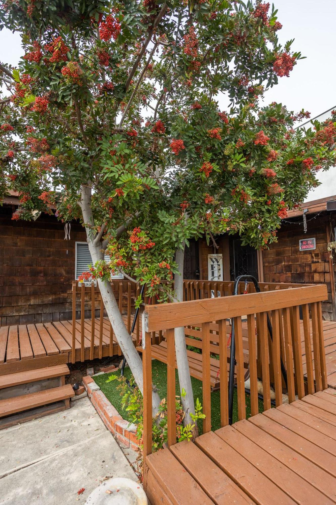 Apartment Spacious Guest Amazing Location
