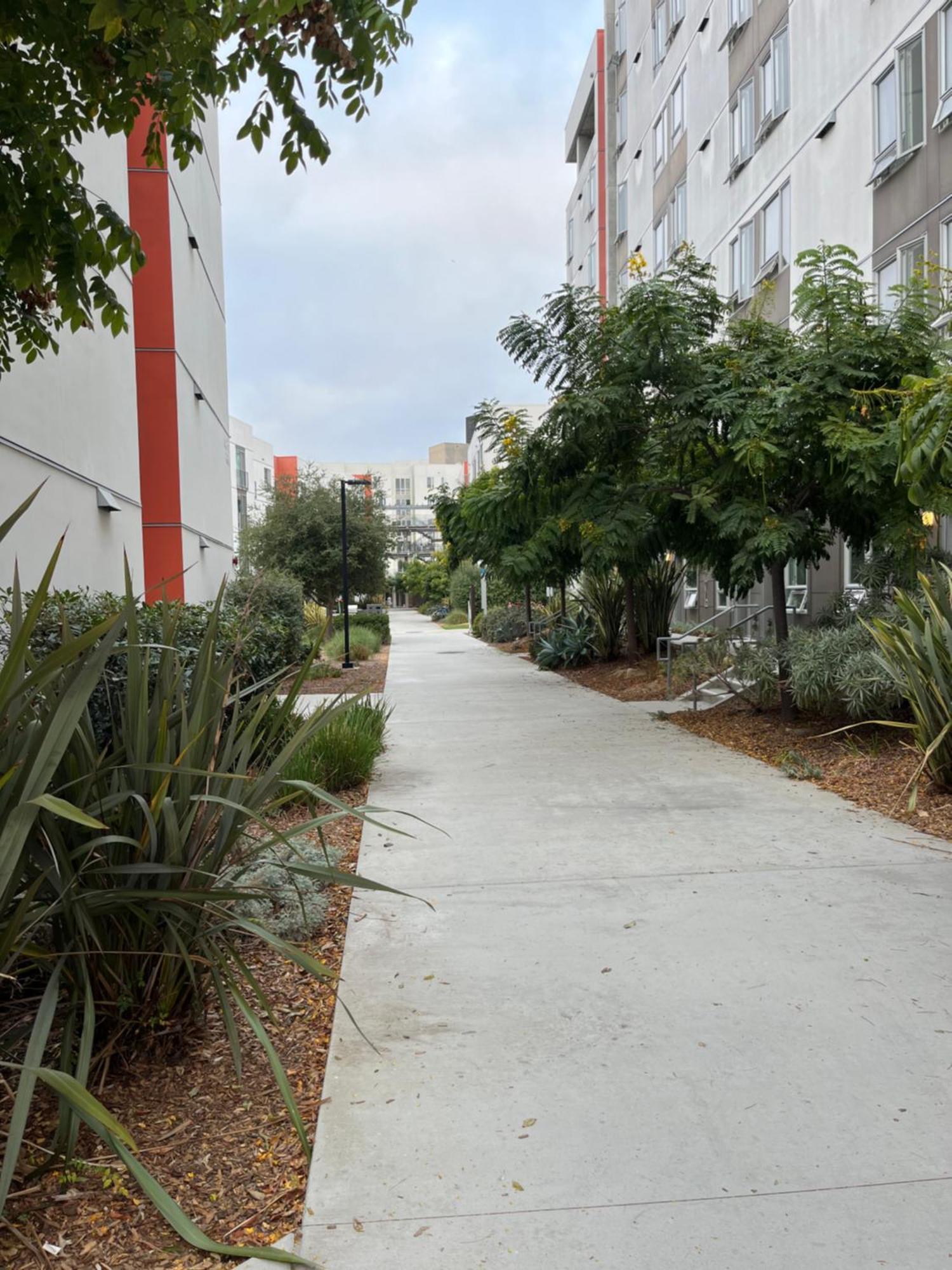 2 Bedroom For Uc Affiliate, Short-term Sublease Apartment