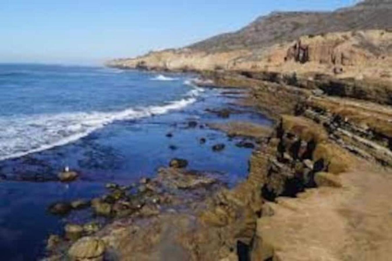 500 Ft To Ocean Relaxing Parking Wifi 840 Apartment
