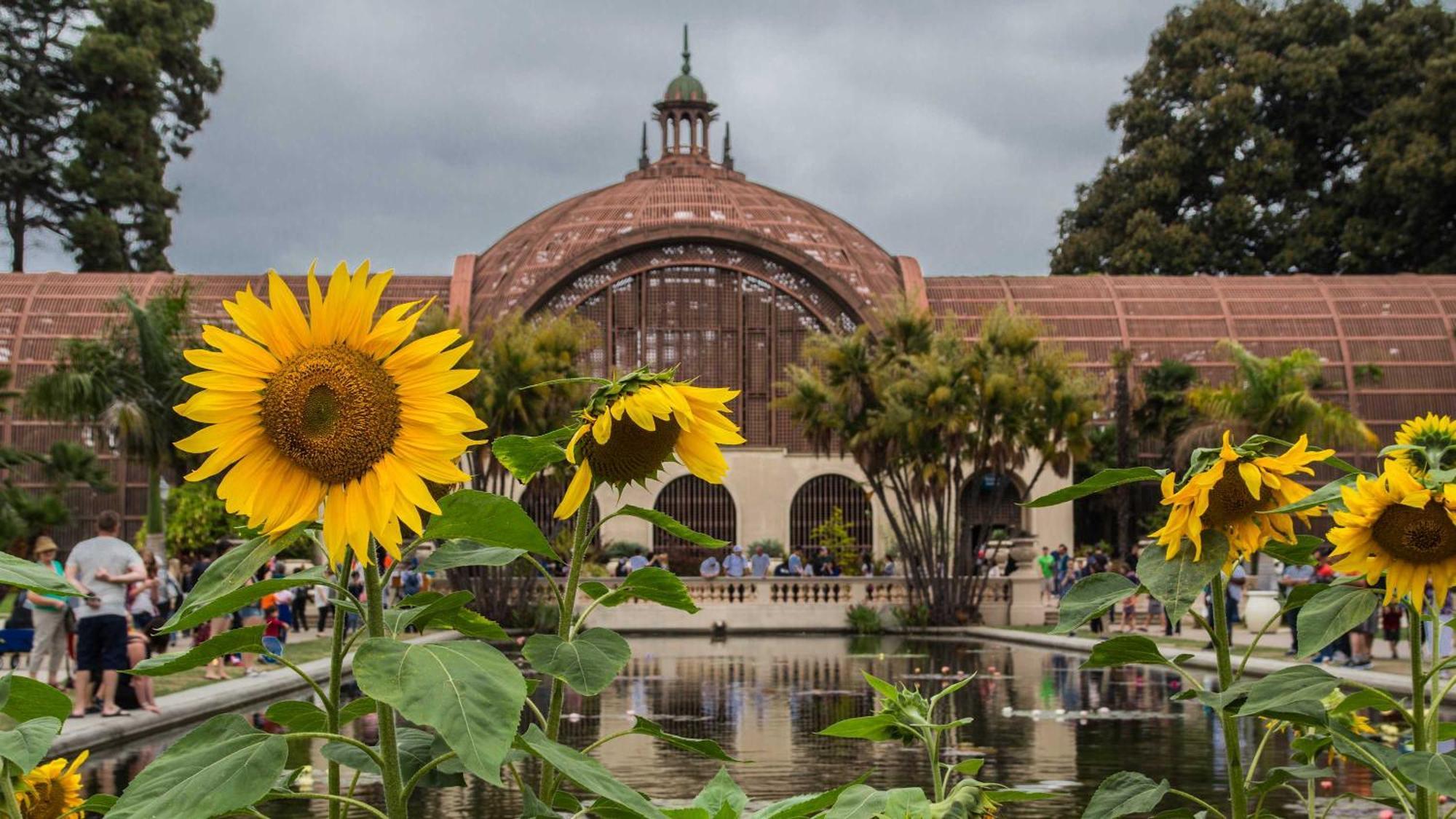 Charming South - Park Close Zoo Balboa Park Holiday home San Diego