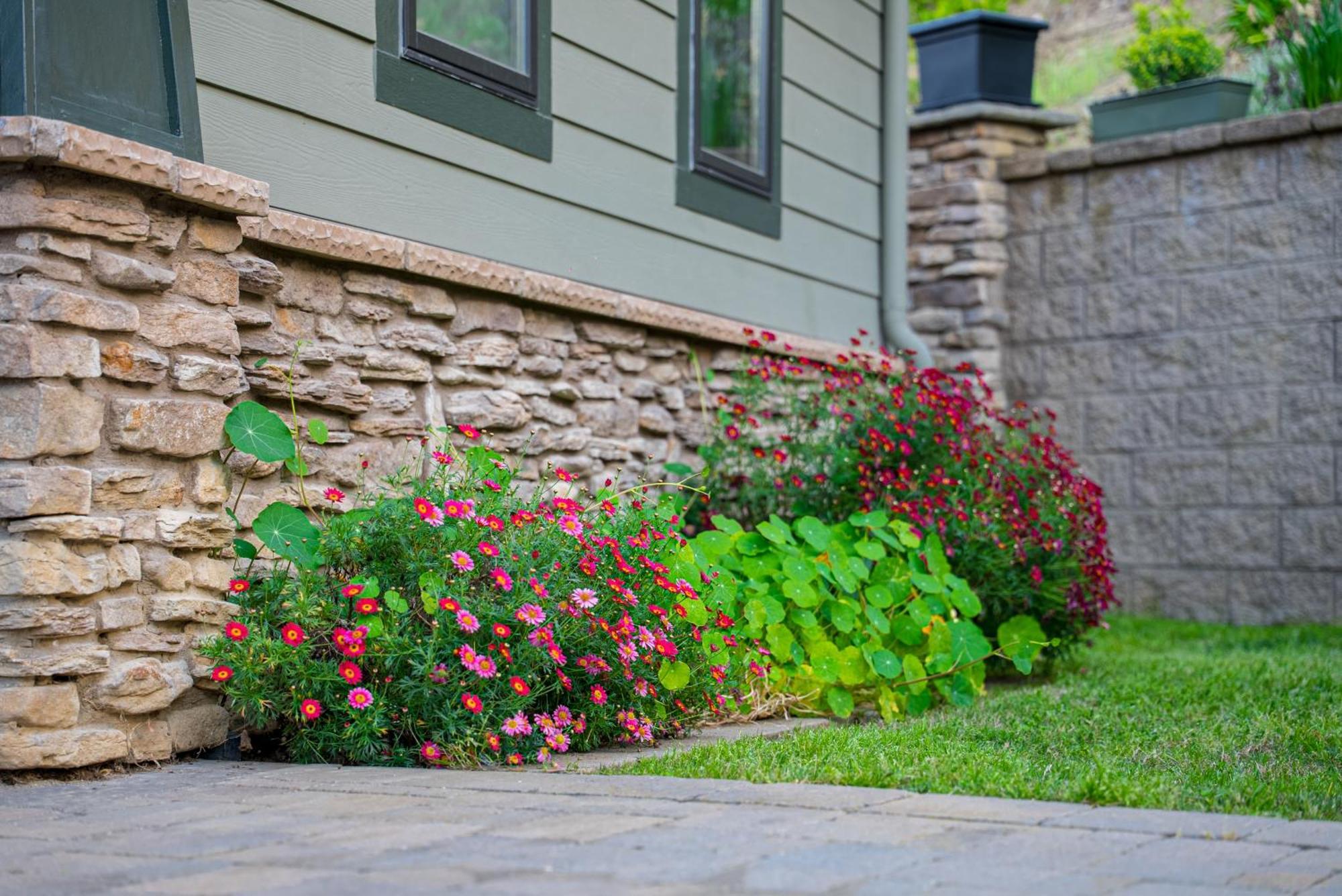 Guest house Garden House