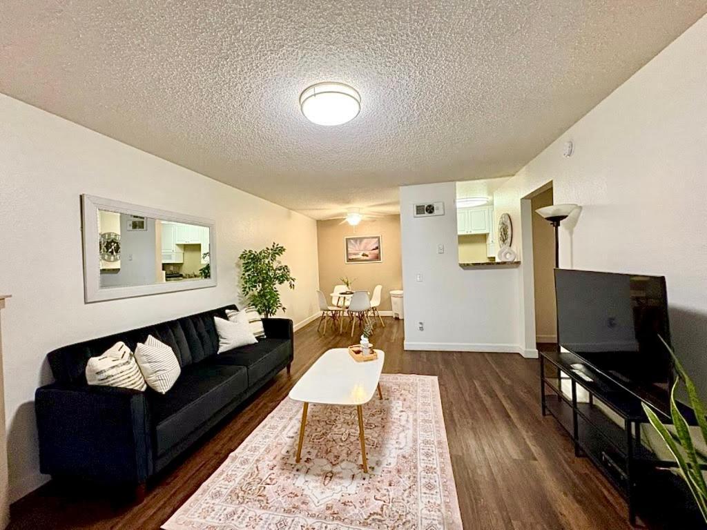Modern In Prime La Jolla Location Apartment San Diego