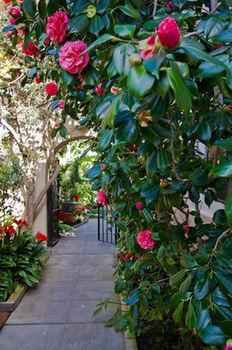 The At La Jolla Bed & Breakfast San Diego