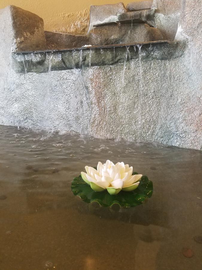 Ansei Postpartum Center * San Diego