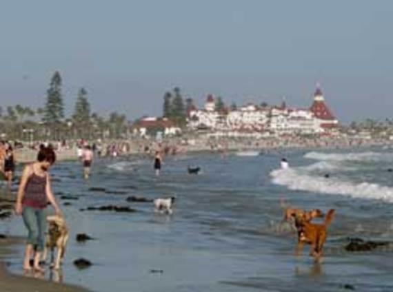 Hillcrest House Bed & Breakfast 3*