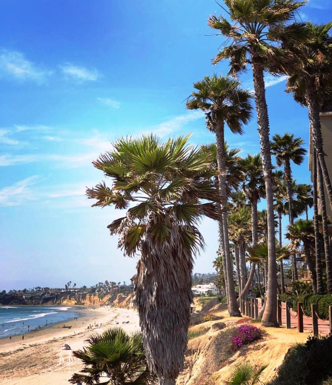 Pacific Terrace Hotel 4*