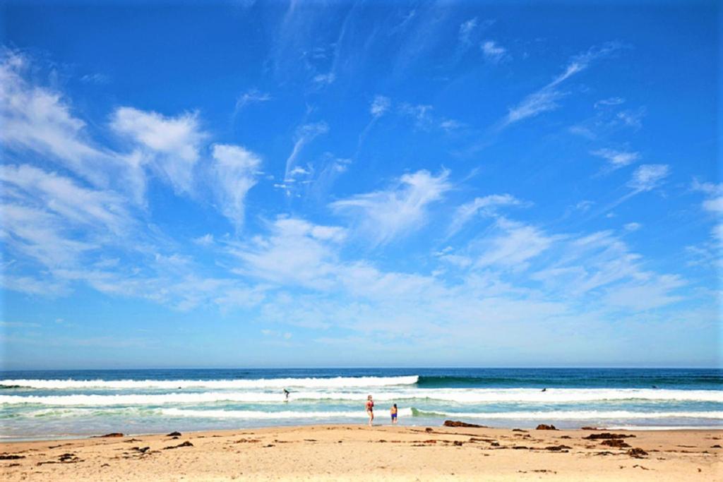 Luv Oceanside Views-1 House To Beach, Boardwalk And Waves-spacious Rooftop Sun Deck-plus King Beds Too! San Diego