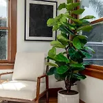 Falcon Street Retreat - Your Cozy San Diego Getaway
