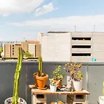 Look Out Over Little Italy From A Unique Urban Treehouse