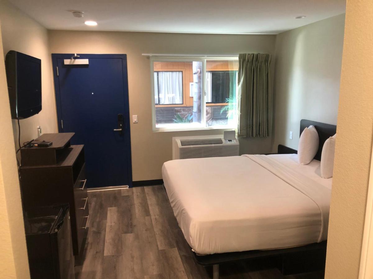 Primera San Diego
