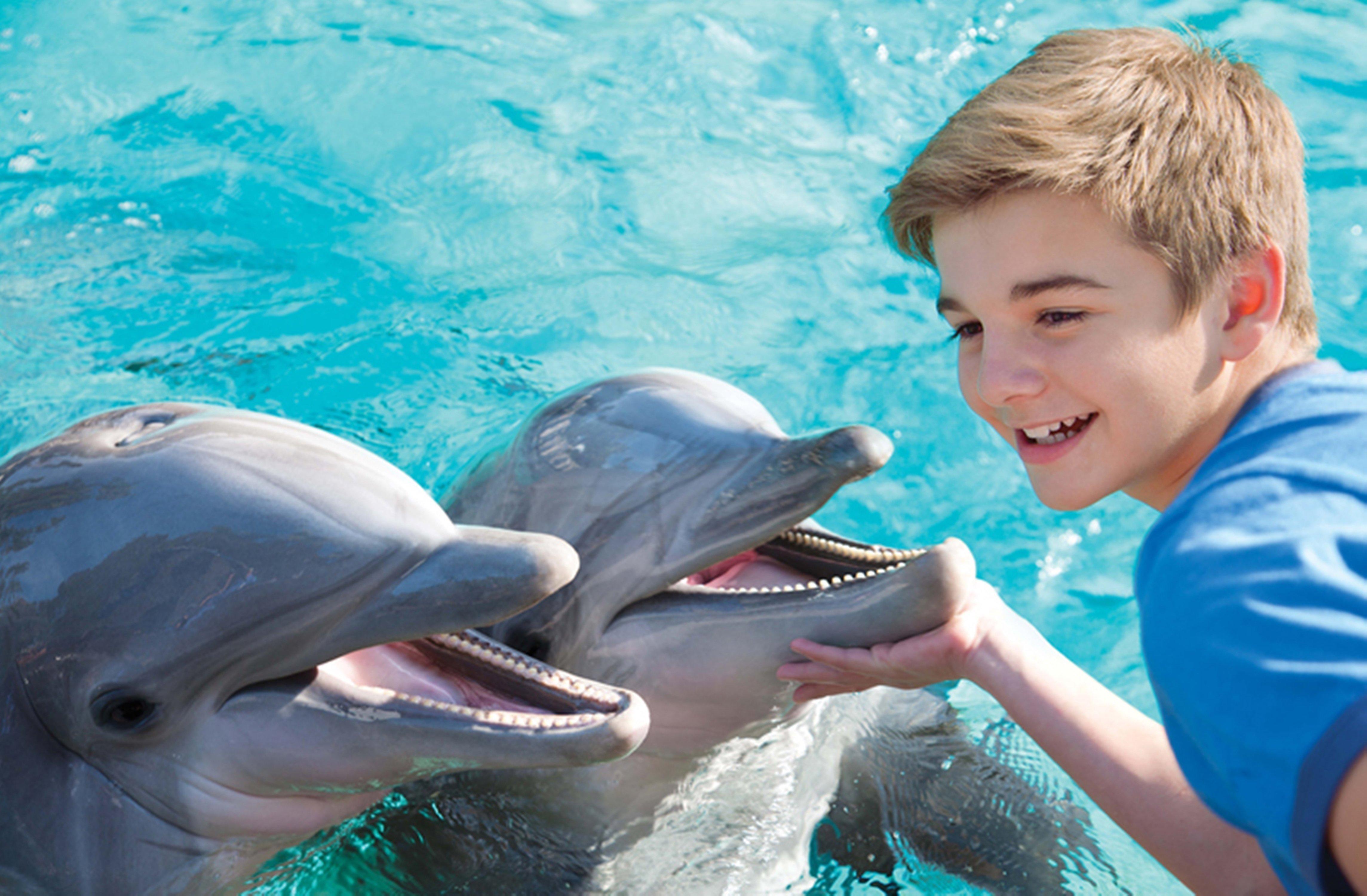 Express - Sea World Area By Ihg 2*