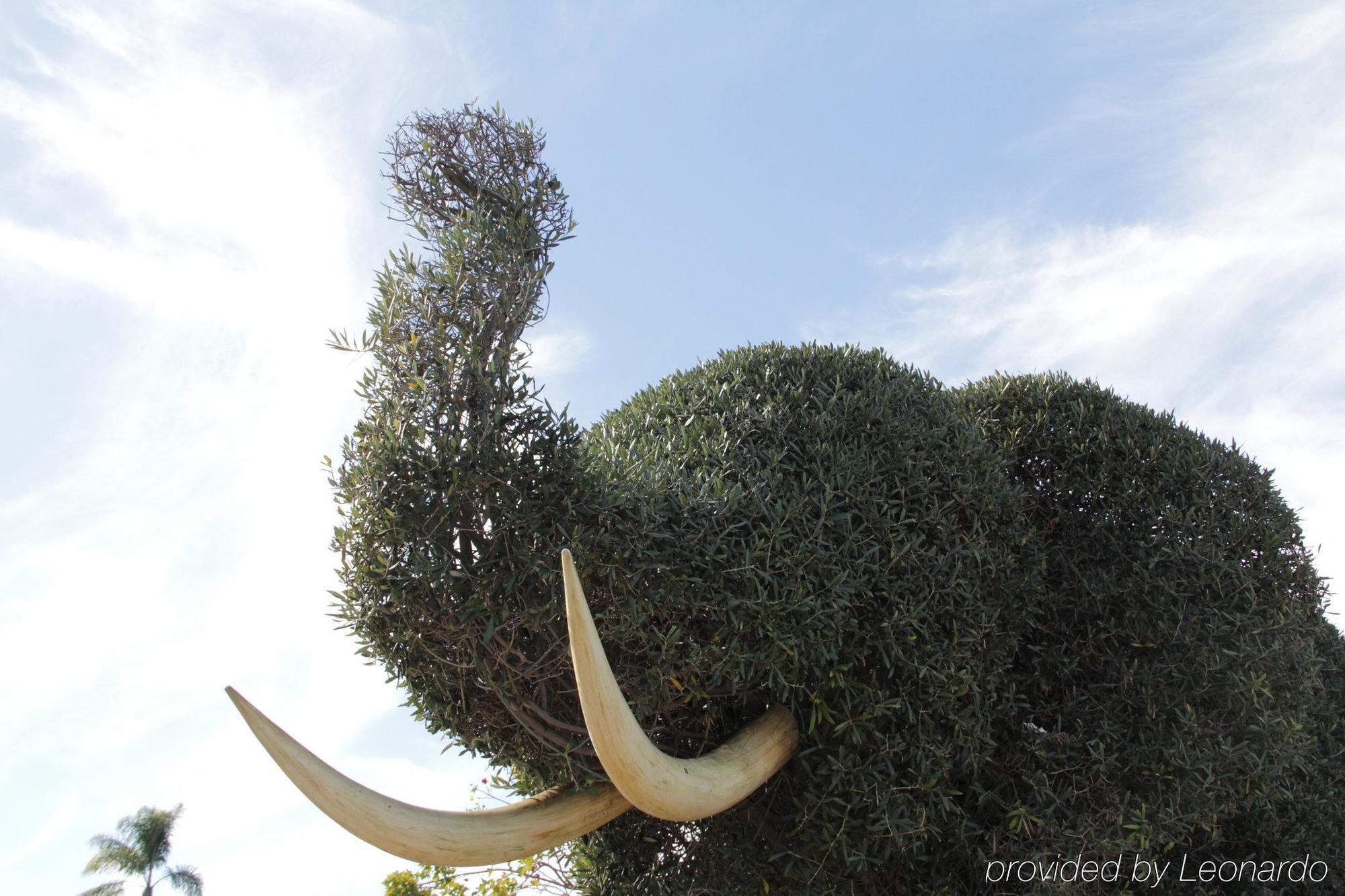 Iris - Mission Valley-san Diego Zoo-seaworld 2* San Diego