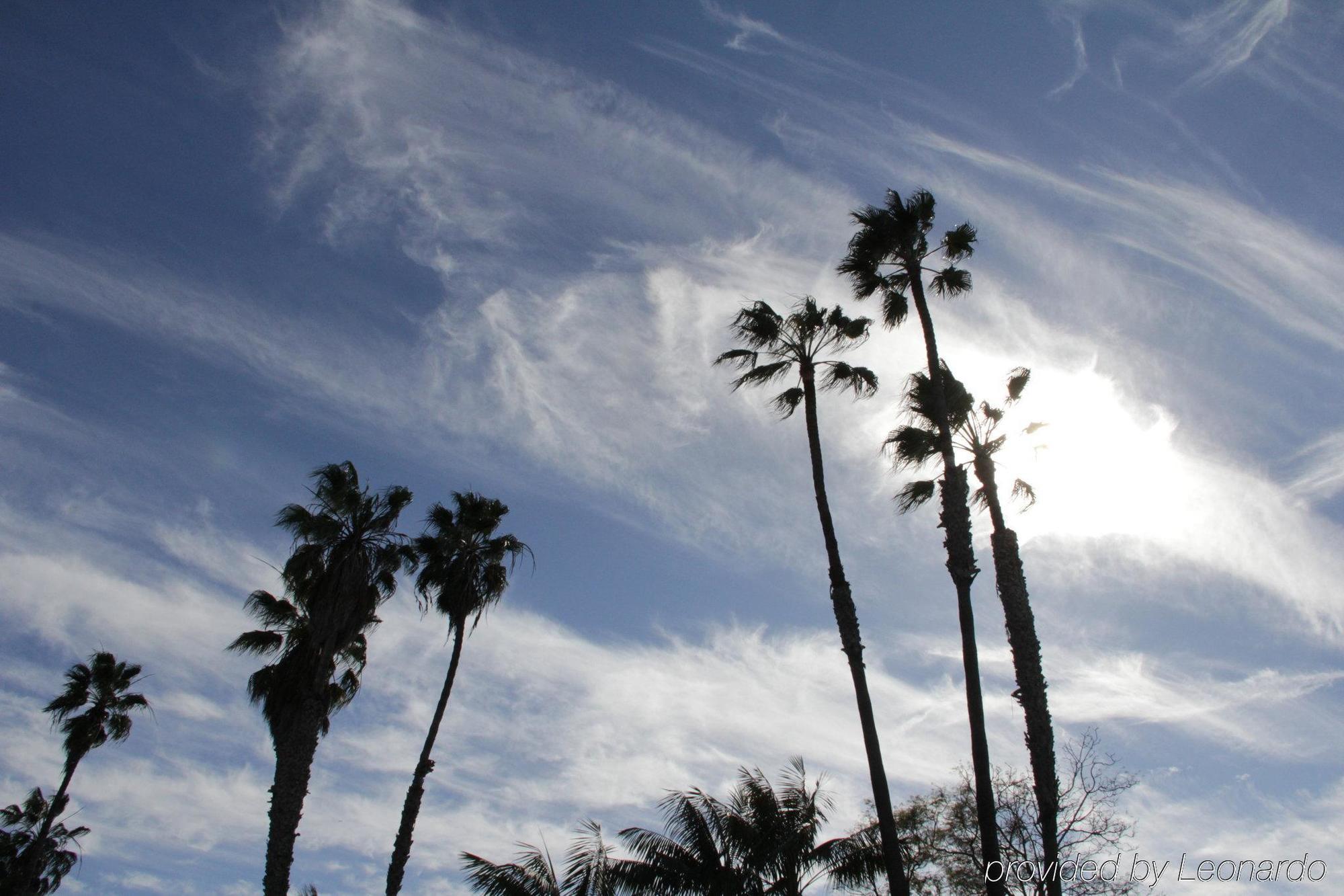 Hotel Iris - Mission Valley-san Diego Zoo-seaworld
