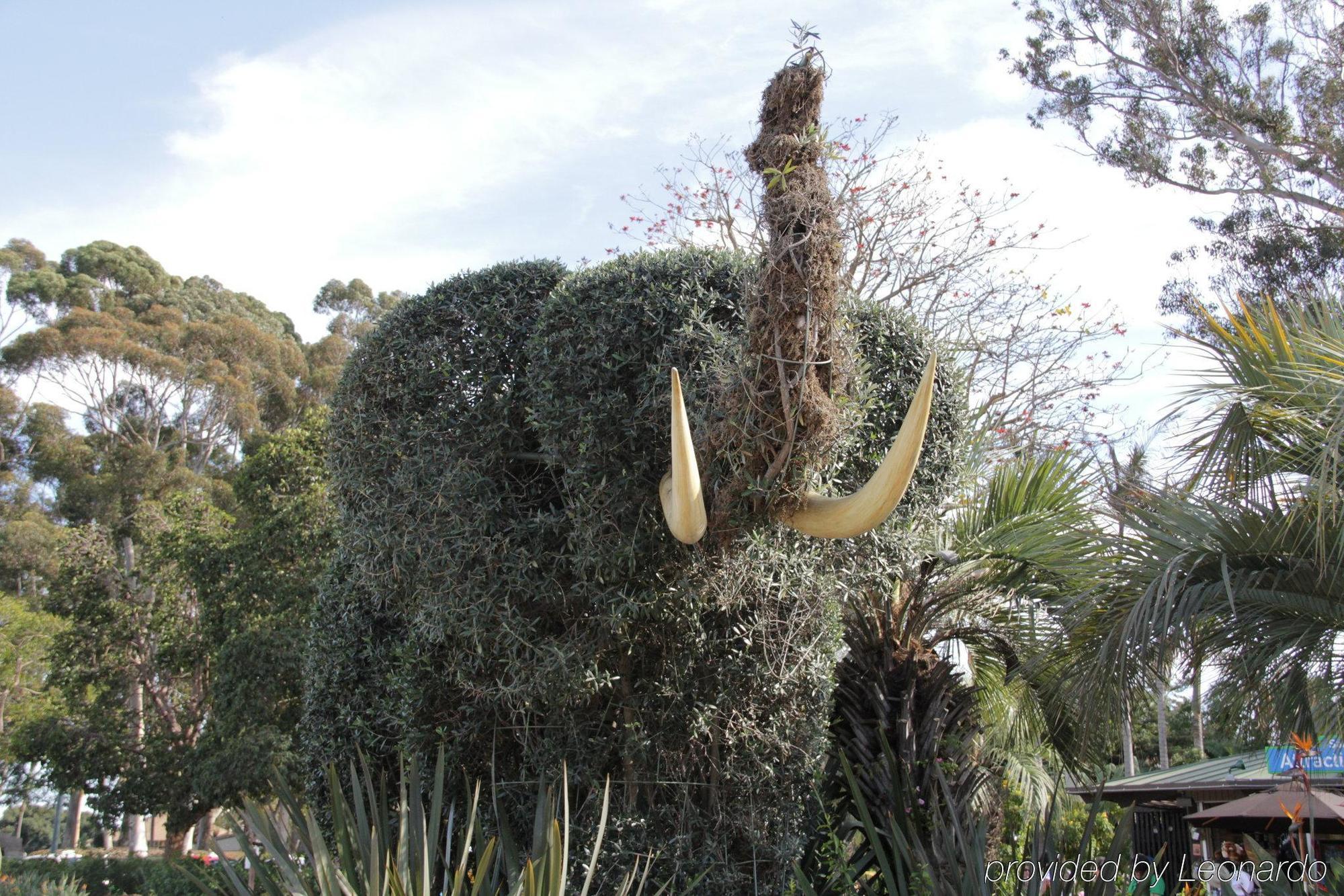 Hotel Iris - Mission Valley-san Diego Zoo-seaworld