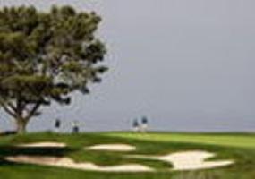 Express And La Jolla - Windansea Beach, And Ihg San Diego
