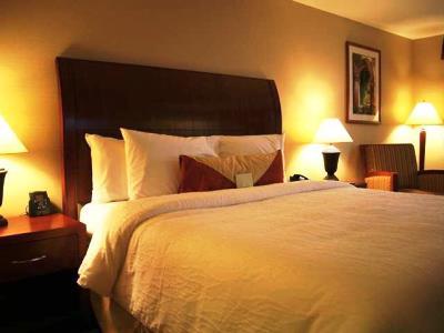 Hilton Garden Del Mar Hotel San Diego
