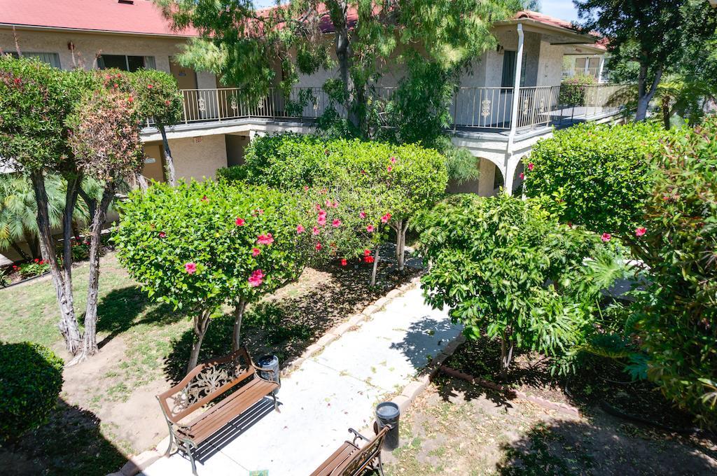 California San Diego