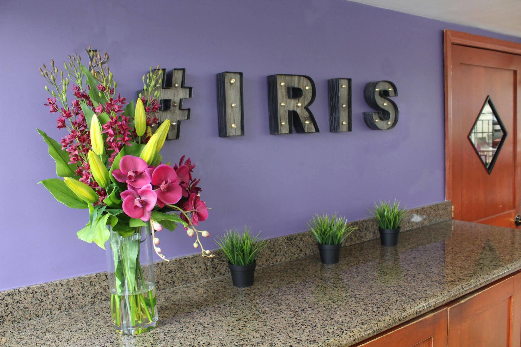 Iris - Mission Valley-san Diego Zoo-seaworld Hotel