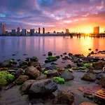 San Diego\'S Cozy Gem