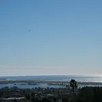 Bay View Bliss