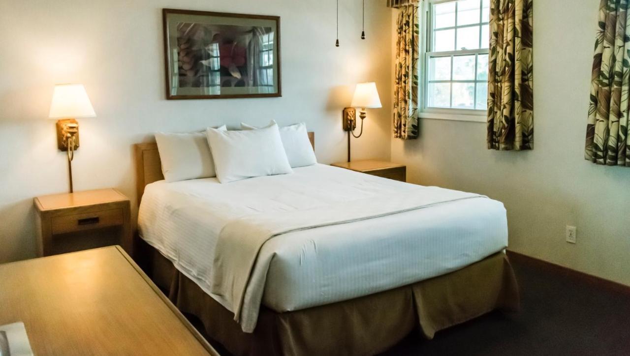 The 3* San Diego