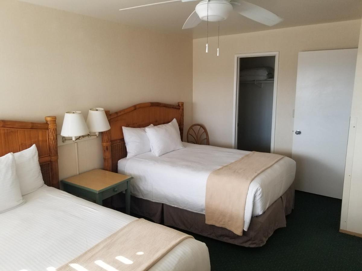 Hotel The 3*